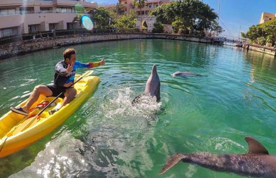 Puerto Aventuras, Departamento A Unos Pasos De La Playa Apartment Luaran gambar